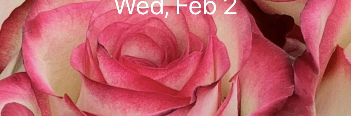 jstepp's profile banner image