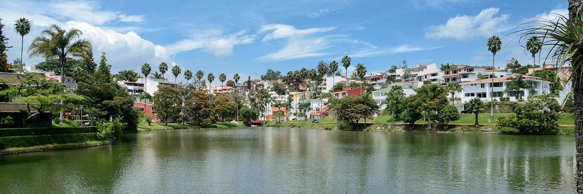 José Lima Cobos banner