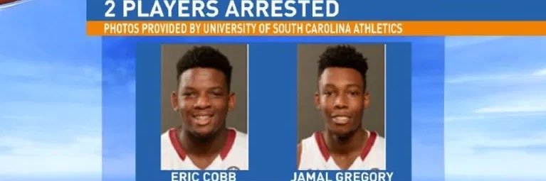 Gamecock Gremlin banner