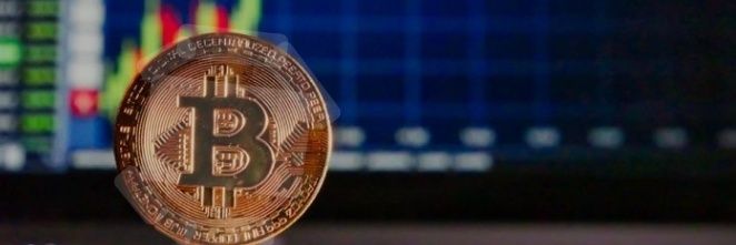 Crypto Investors banner