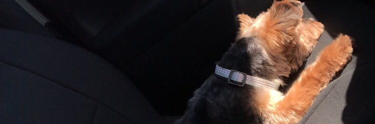 ethannjones's profile banner image