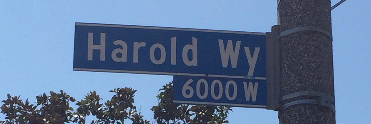 TheHaroldPoint's profile banner image