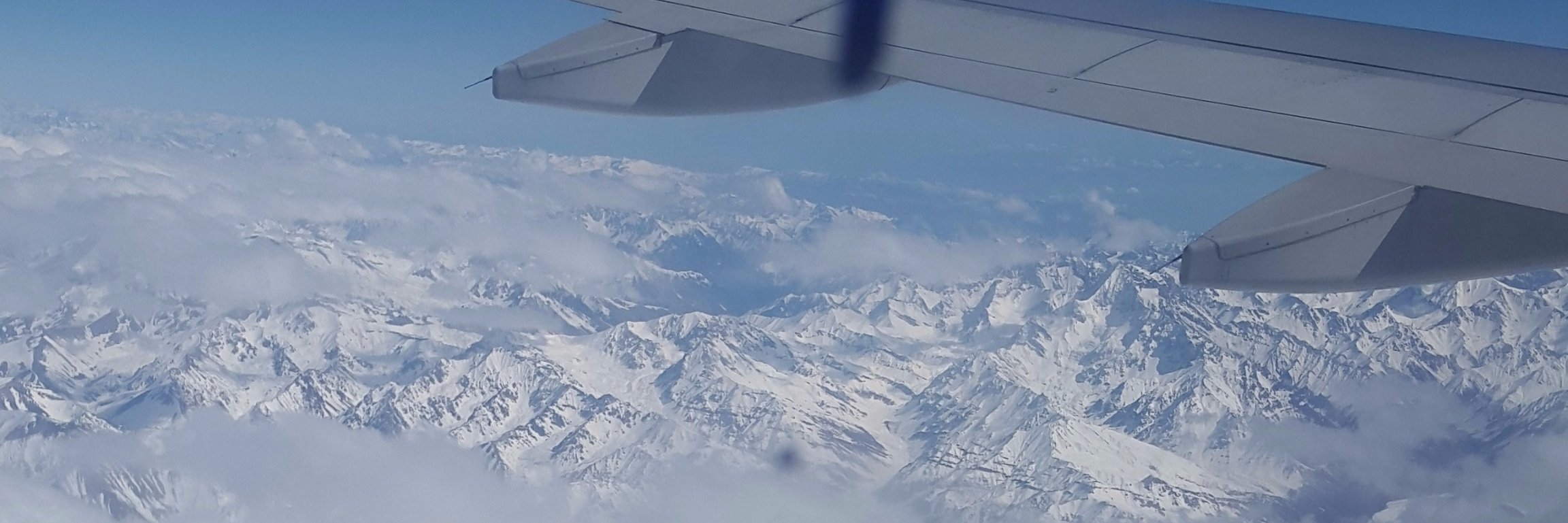 felidecker's profile banner image