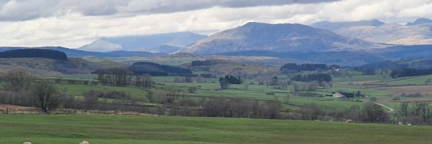 Dr Catrin Hedd Jones banner