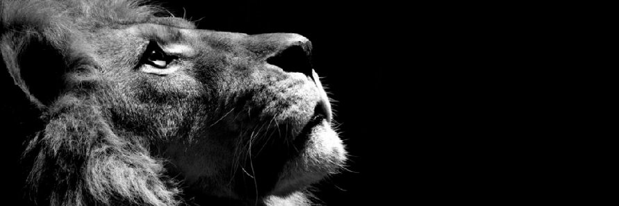 BexxCarter's profile banner image