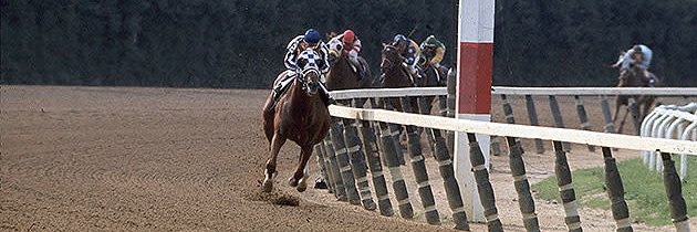 Javier I. Farache banner