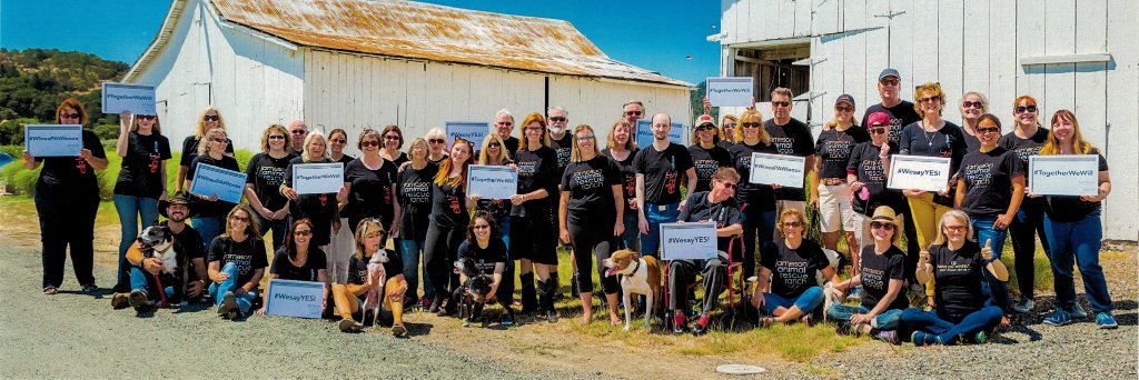 Jameson Rescue Ranch banner