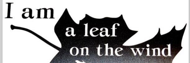 Marissa Bolte banner