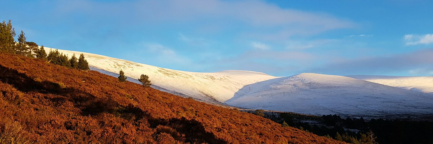 Andy Franzkowiak banner