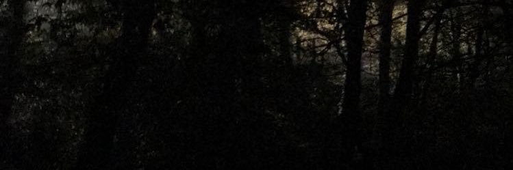 DominEst_'s profile banner image