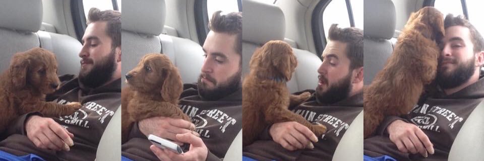 Former Soup Daddy banner