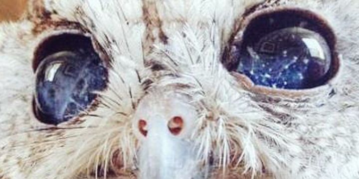 LoganRidge44's profile banner image