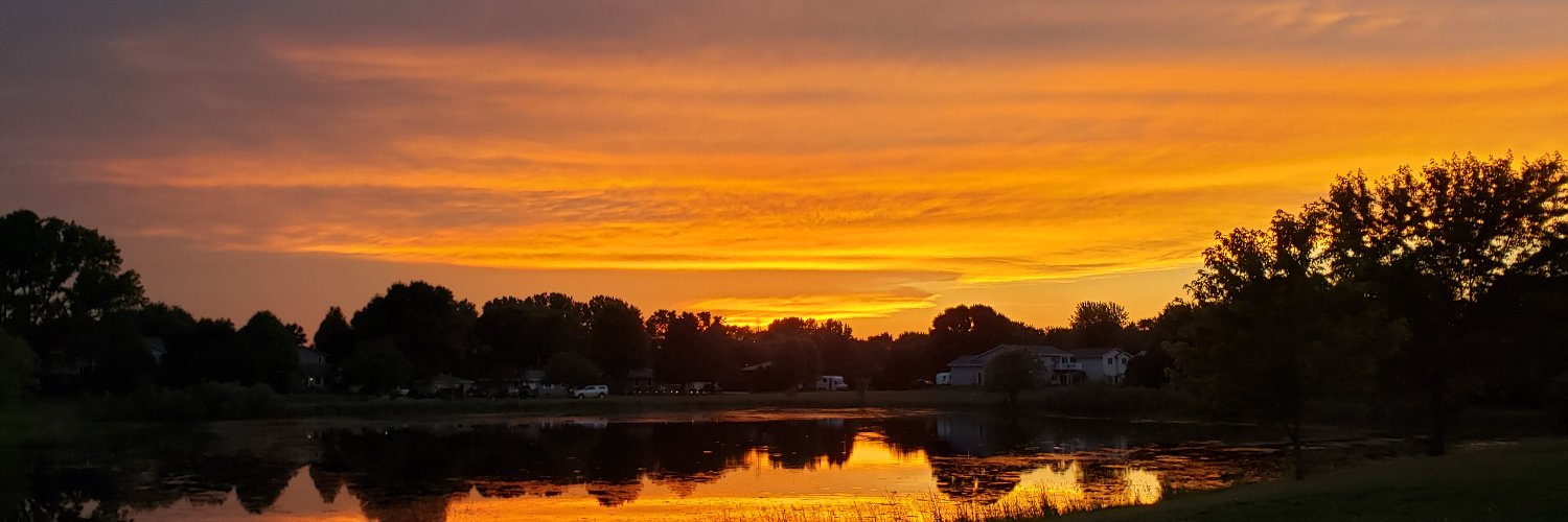 SwanbergSusan's profile banner image