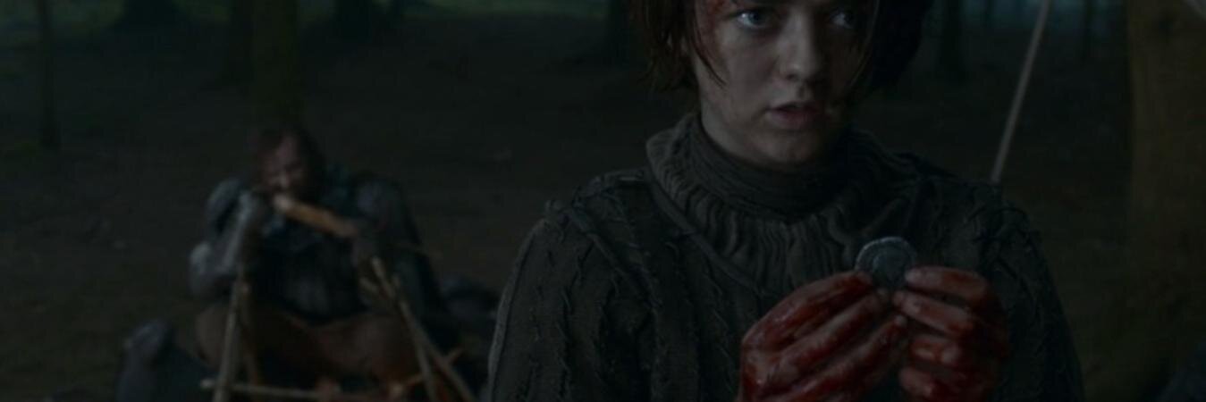 arya stark banner