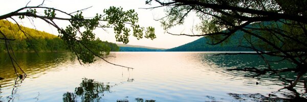 Greggor2 Profile Banner