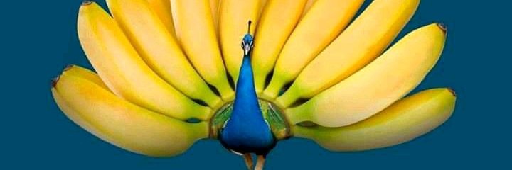 simofabrice2's profile banner image