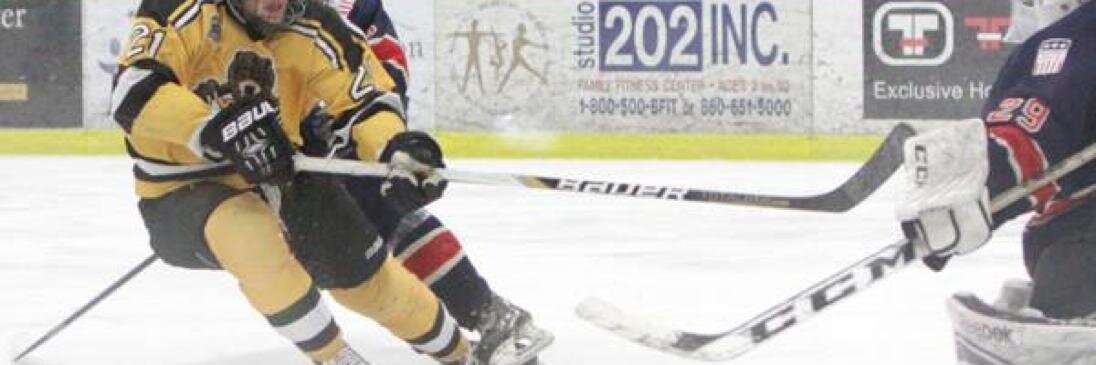 USPHLPremier's profile banner image
