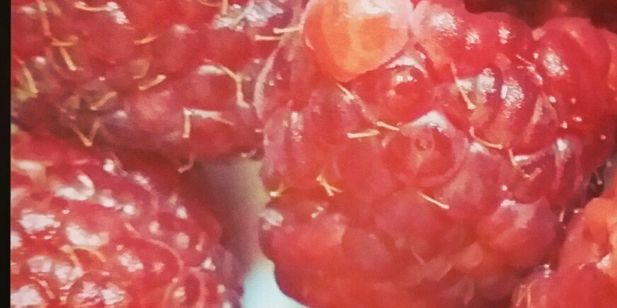 Radwa3000's profile banner image