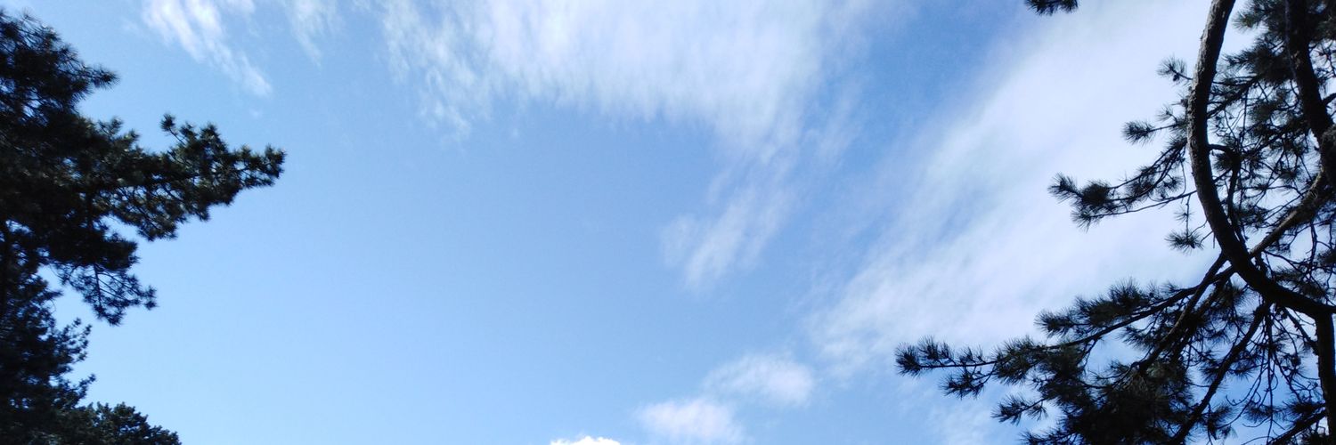 KbraKeser4's profile banner image
