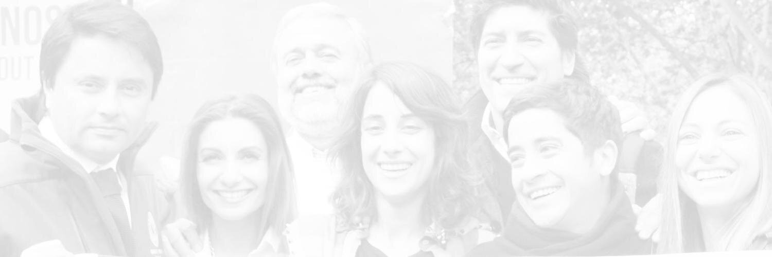 FuerzaChileCL's profile banner image