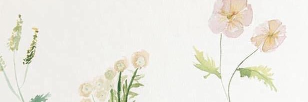 hannahberdan's profile banner image
