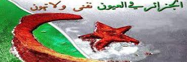 algerian22's profile banner image