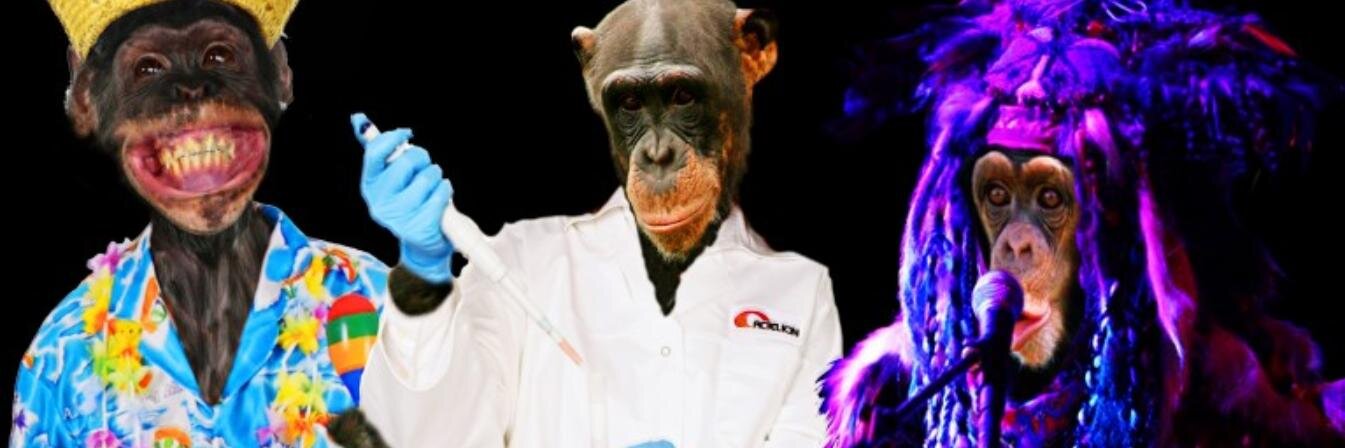 Secret Of Monkey ISL banner