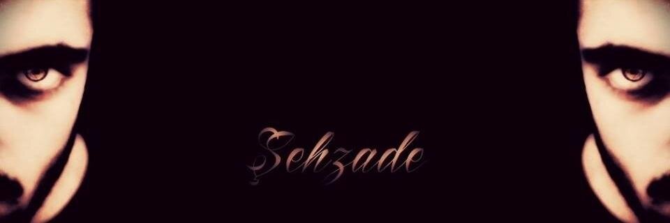 1Sehzadebey's profile banner image