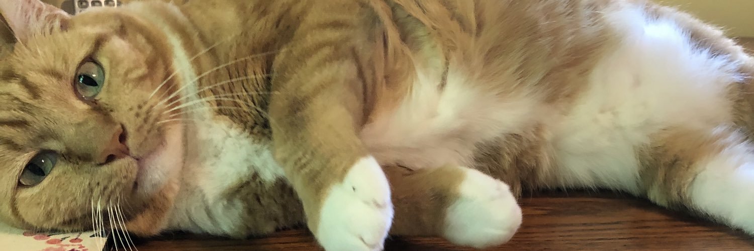 sandedave's profile banner image