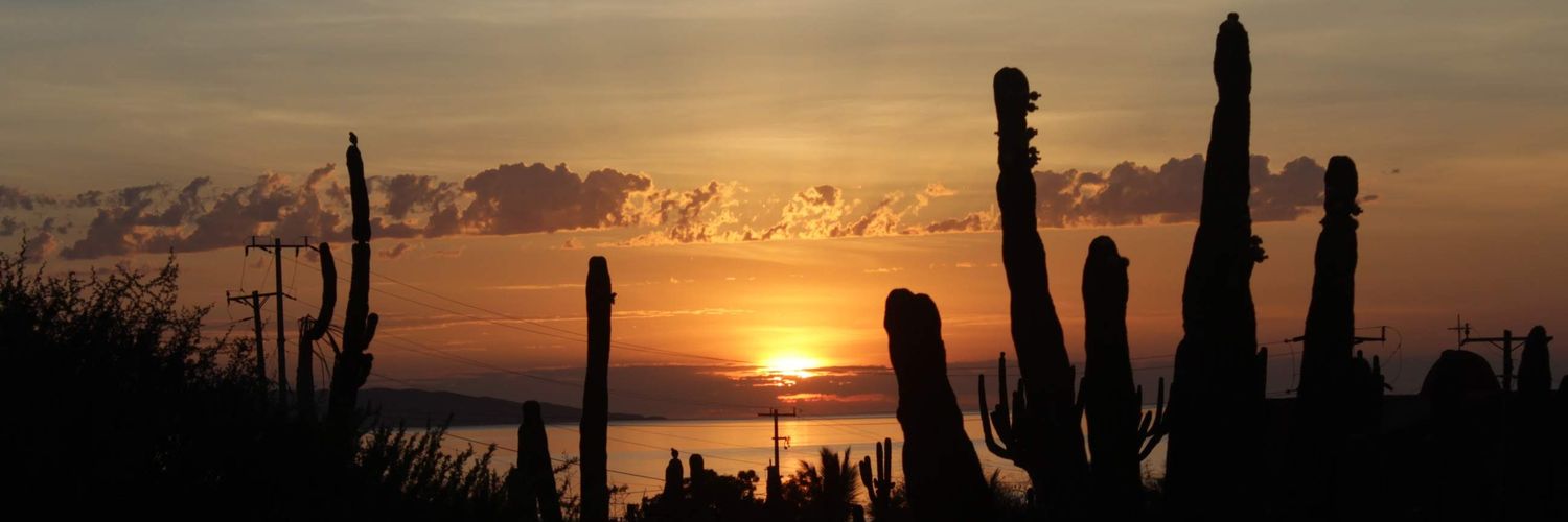 andreaCalzada's profile banner image
