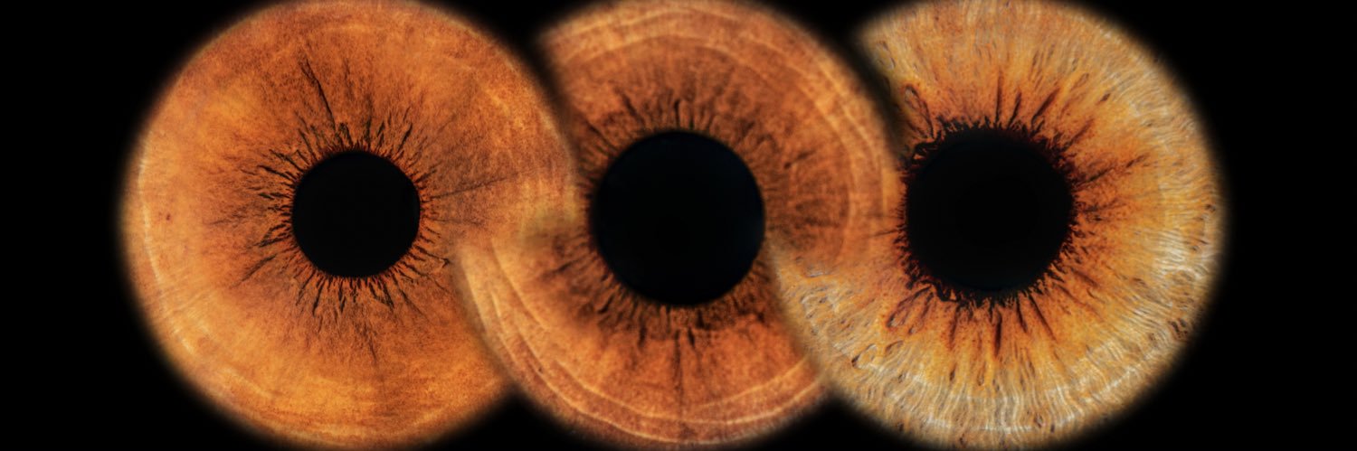 acarolinacb's profile banner image