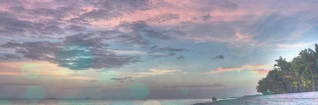 TheFlyTraveler's profile banner image