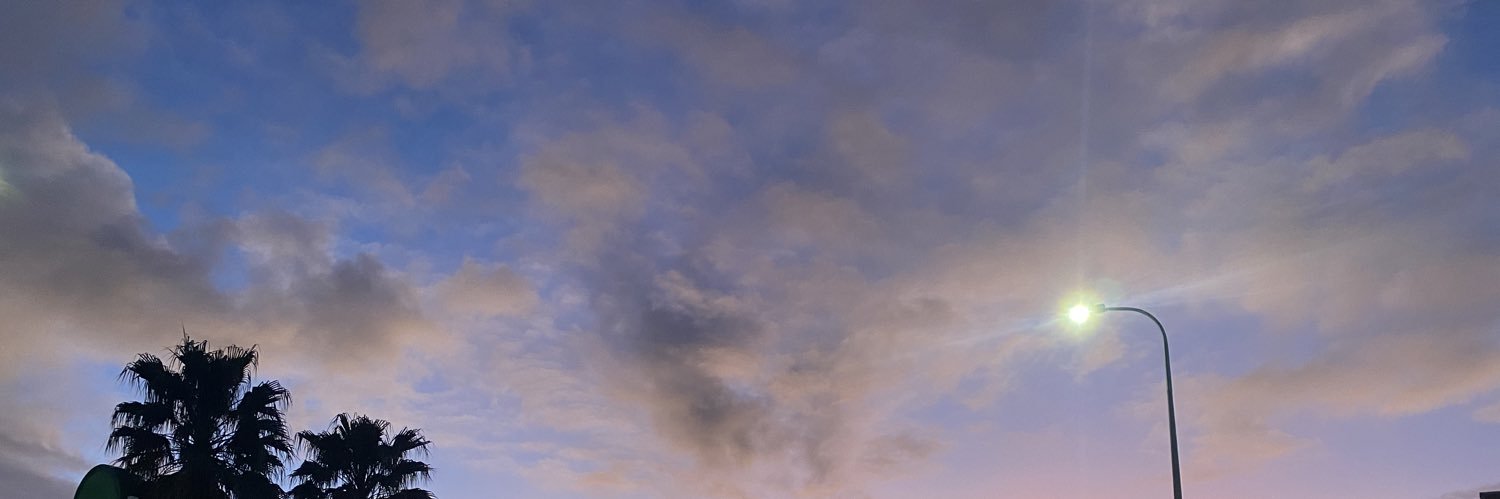 berney_mark's profile banner image