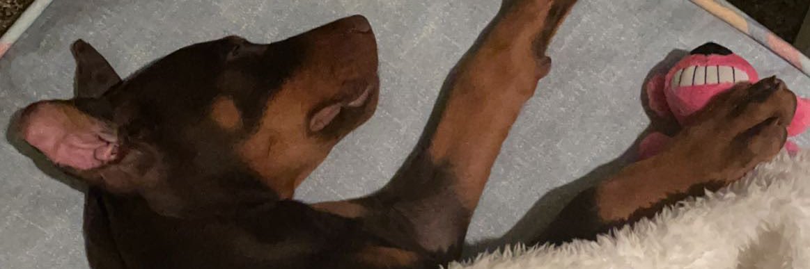 Robertaanne_'s profile banner image