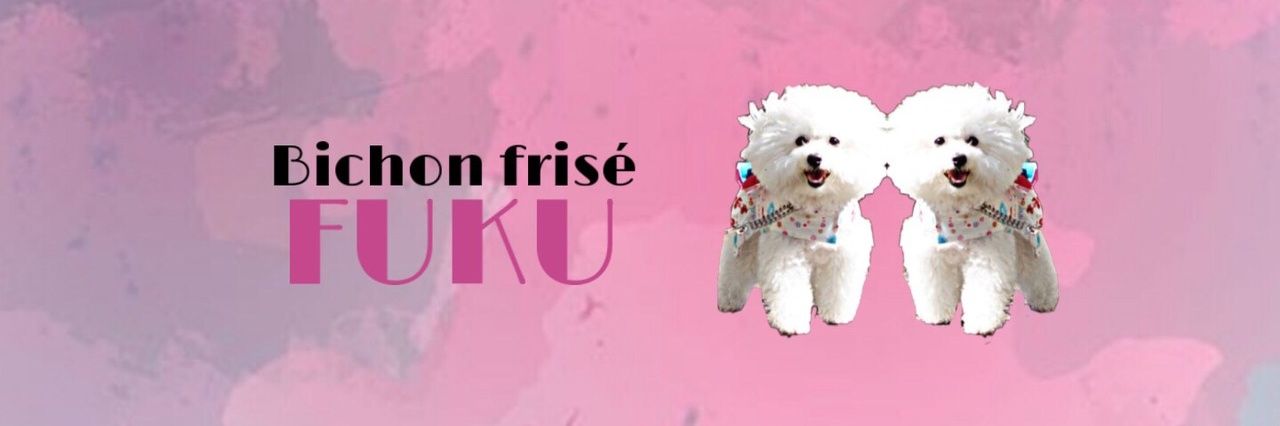 nakamon4857's profile banner image