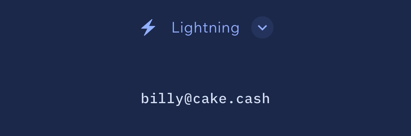 Bitcoin Curious banner