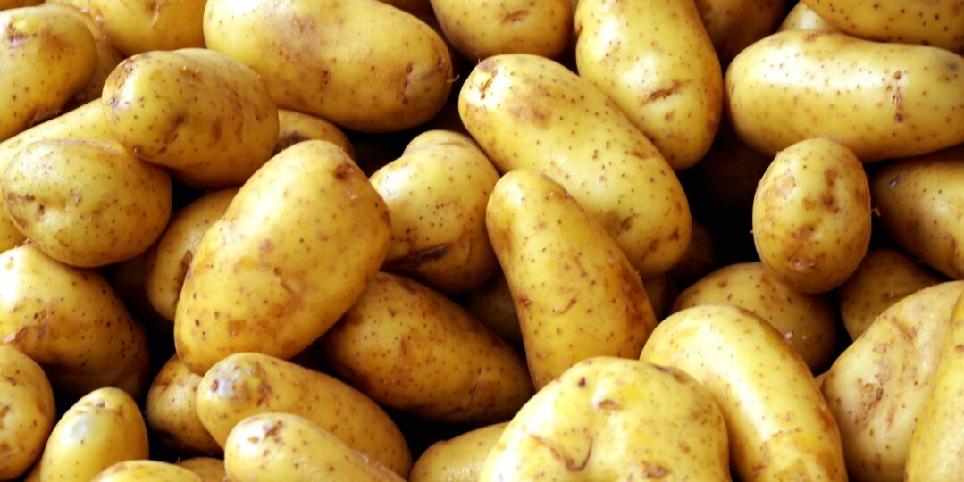MankatoPotato's profile banner image
