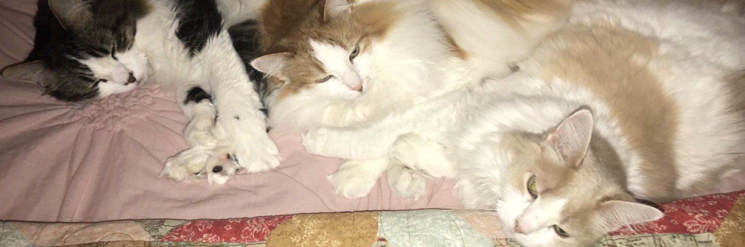 summerleesls's profile banner image