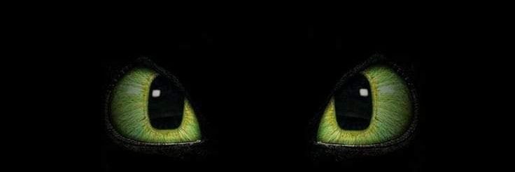 AdityaMP24's profile banner image