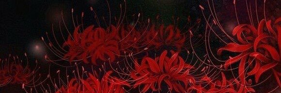 KiddoM.👻 banner