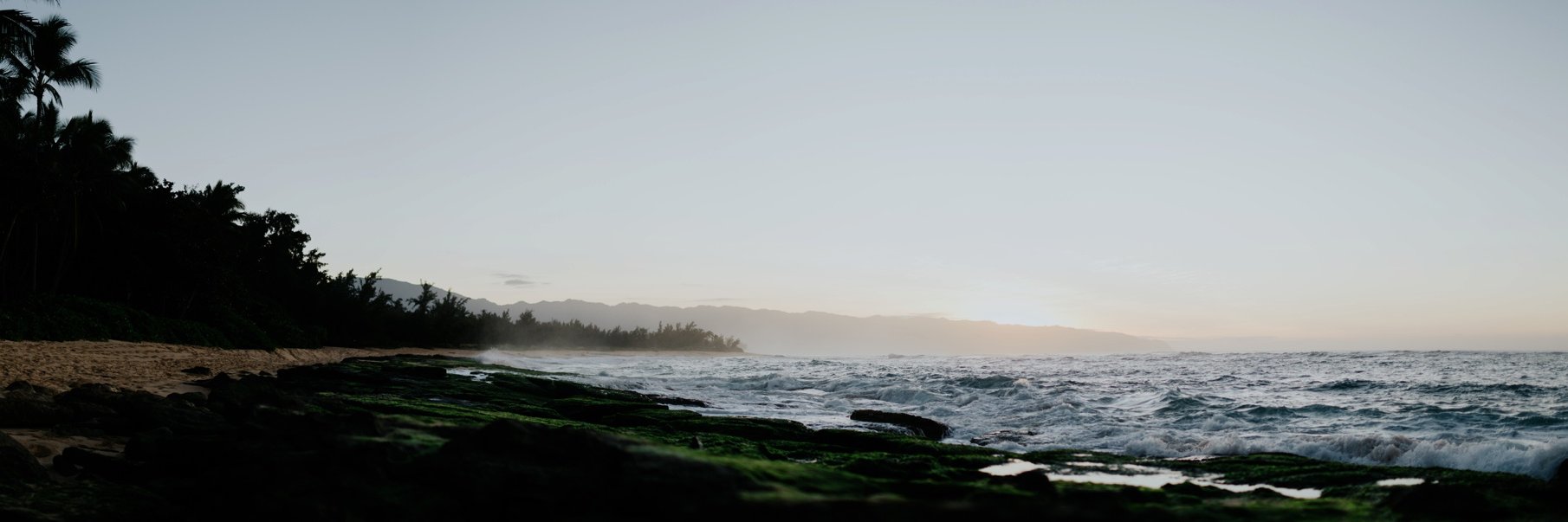 trinitijensen's profile banner image