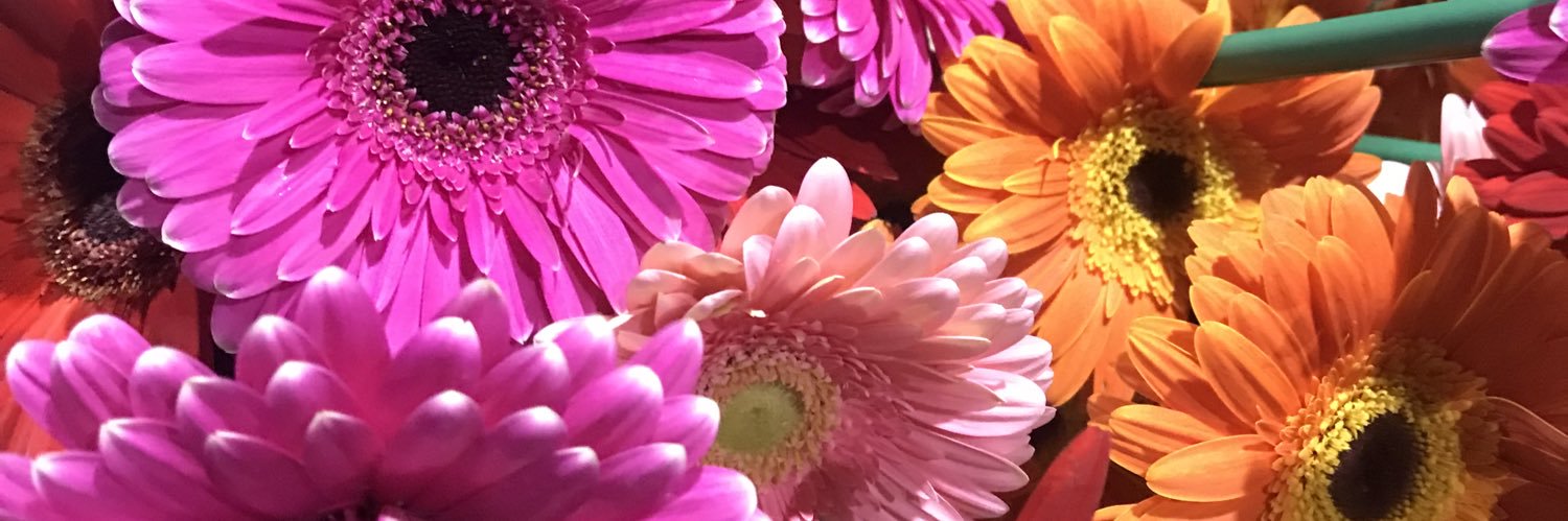 heyitsrubbi's profile banner image