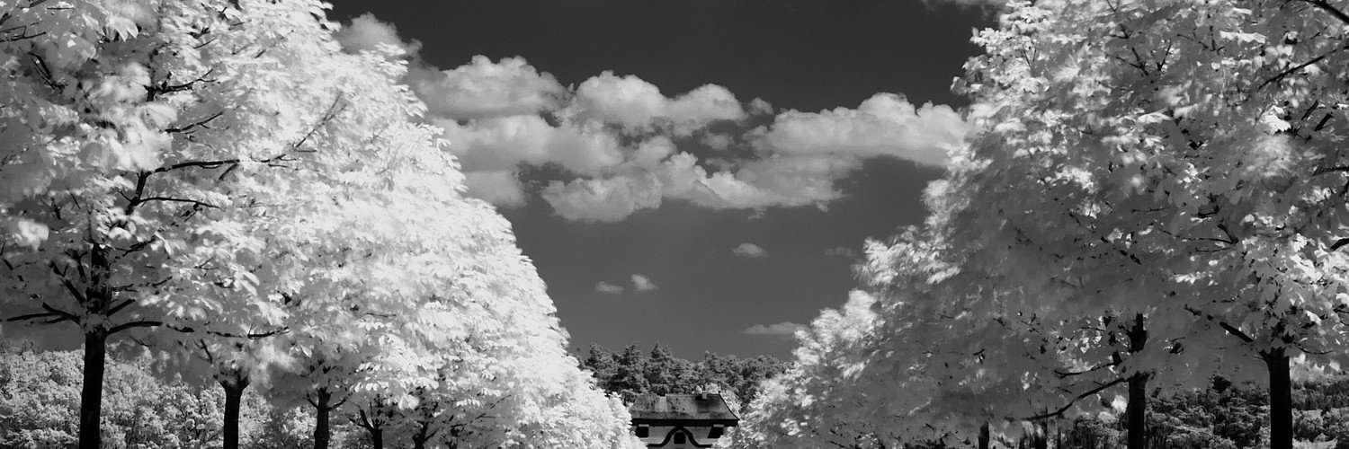 Алена Ромашко banner