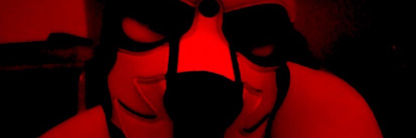 pup_bruiser's profile banner image