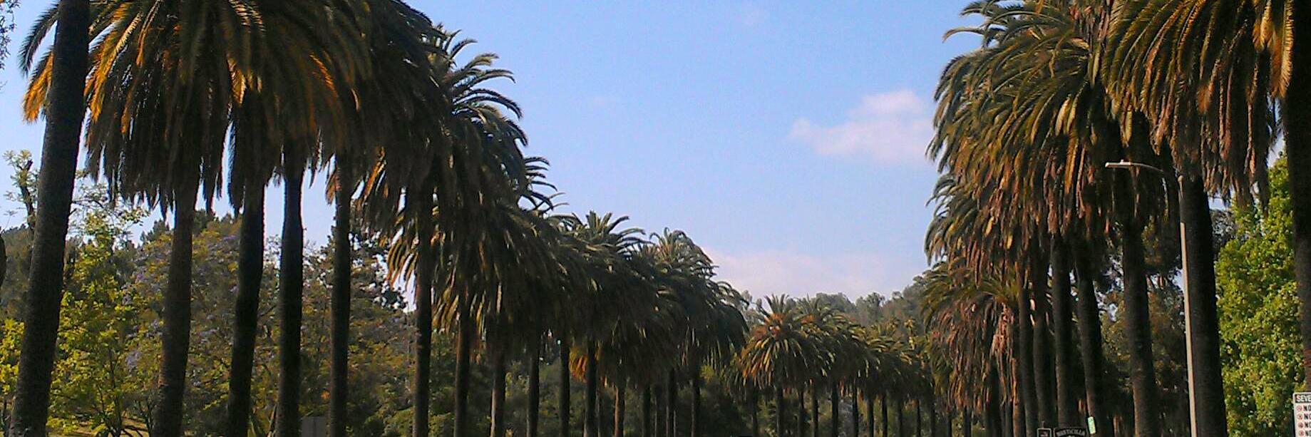 GrantParksBeats's profile banner image