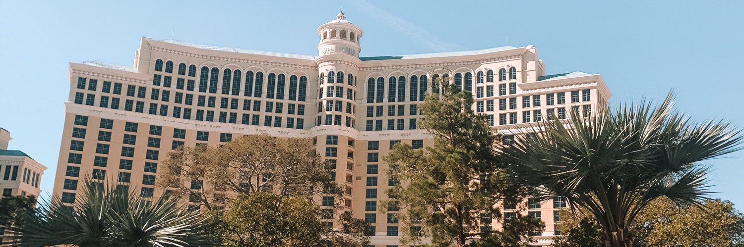 daniellemo16's profile banner image