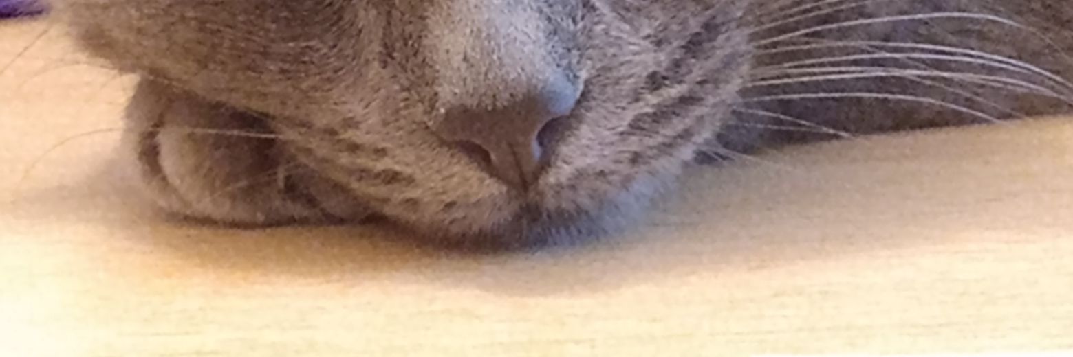 drunkmichi's profile banner image
