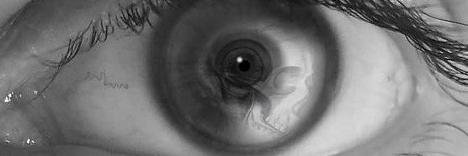 Mark Leslie Lefebvre banner