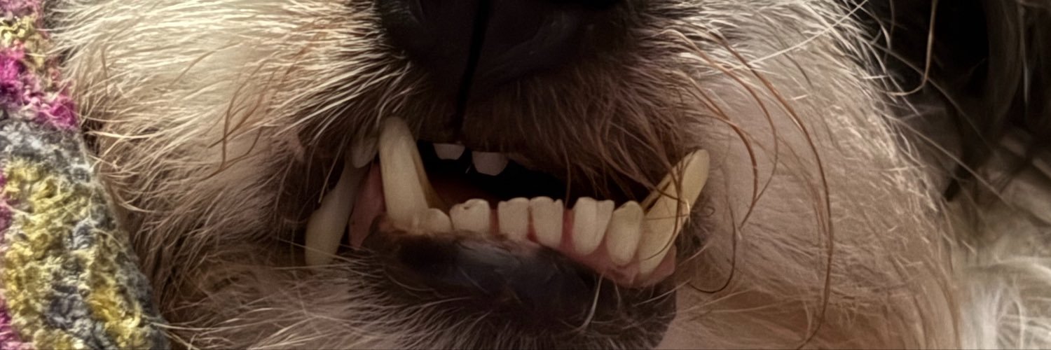 hannagato's profile banner image