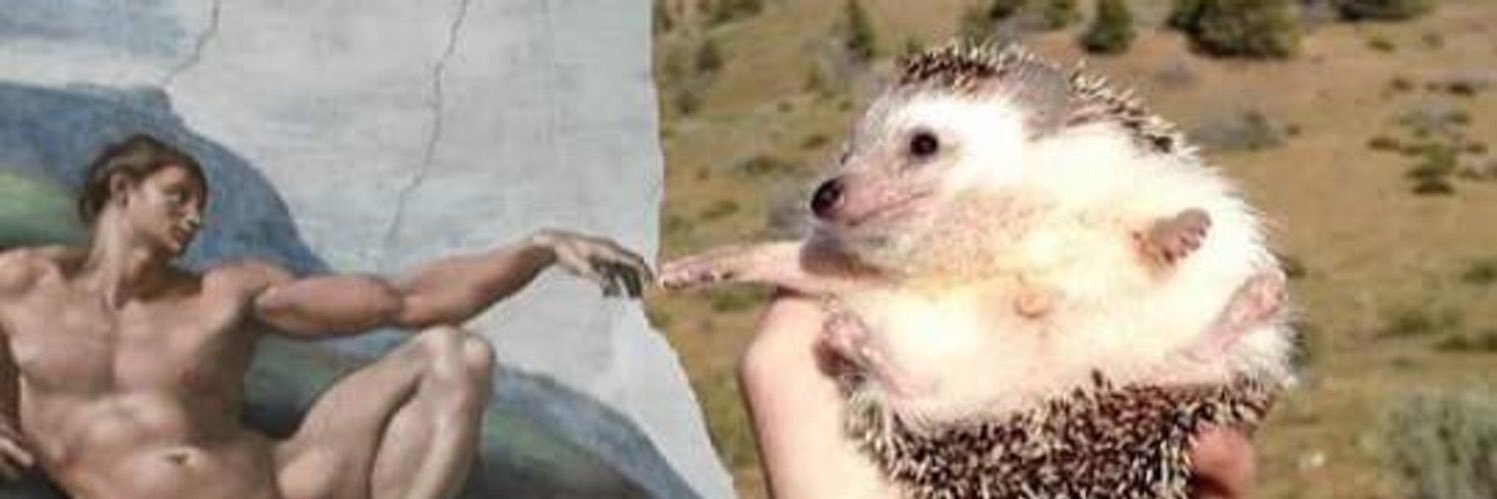 isabelamboav's profile banner image
